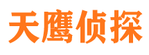 大关市侦探调查公司